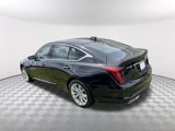 New 2025 Cadillac CT5 Premium Luxury image 3