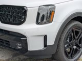 New 2025 Kia Telluride AWD image 2