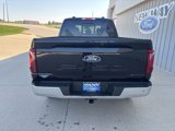New 2025 Ford F150 XLT w/ Equipment Group 303A High image 5