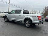 Used 2019 Ford F150 XLT w/ Equipment Group 302A Luxury image 6