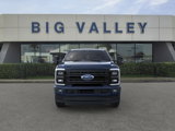 New 2025 Ford F250 Platinum image 6