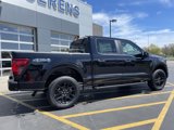 New 2025 Ford F150 STX w/ STX Black Appearance Package image 5