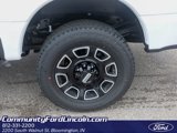 New 2025 Ford F250 Platinum image 4