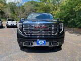 New 2026 GMC Sierra 1500 Denali w/ Denali Reserve Package image 2