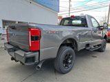 New 2025 Ford F250 XL image 4