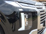 New 2025 Hyundai Palisade Calligraphy image 4