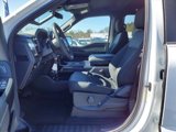 New 2025 Ford F150 STX w/ Equipment Group 200A image 6