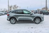 New 2025 Ford Escape ST-Line Elite image 6