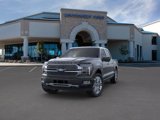 New 2025 Ford F150 Platinum image 2