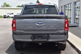 Used 2023 Ford F150 XLT image 5