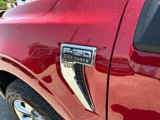 Certified 2023 Ford F150 King Ranch w/ Equipment Group 601A High image 6