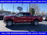 New 2025 Ford F150 XLT w/ Equipment Group 302A MID image 4