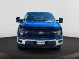 New 2025 Ford F150 XLT w/ Equipment Group 302A MID image 2