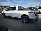 Used 2018 Ford F150 XLT w/ Equipment Group 302A Luxury image 6