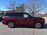 New 2025 INFINITI QX80 Sensory image 2