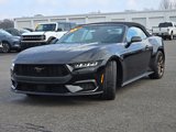 New 2025 Ford Mustang Premium image 3
