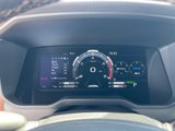 New 2025 Toyota Tundra 1794 Edition image 6