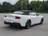 Certified 2024 Ford Mustang Premium image 3