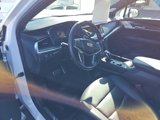 Used 2024 Cadillac XT5 Sportv image 5