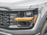 New 2025 Ford F150 STX w/ STX Black Appearance Package image 5