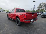 New 2025 Ford F150 STX w/ STX Black Appearance Package image 6