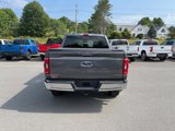 Used 2021 Ford F150 XLT w/ Equipment Group 302A High image 4