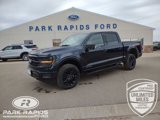 New 2025 Ford F150 XLT w/ Equipment Group 303A High image 1