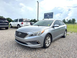 Used 2015 Hyundai Sonata ECO image 3