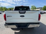 Used 2016 Ford F150 XLT w/ Equipment Group 302A Luxury image 4