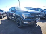 New 2025 Ford F150 Platinum image 4
