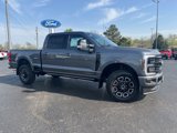 New 2025 Ford F250 Platinum image 5