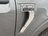New 2025 Ford F150 XLT image 5