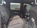 New 2025 Ford F150 XLT w/ Equipment Group 302A MID image 6