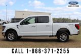 New 2025 Ford F150 XLT w/ Equipment Group 301A Standard image 5