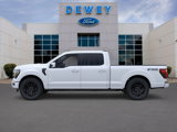 New 2025 Ford F150 Platinum image 3