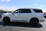 New 2025 Hyundai Palisade Calligraphy image 4