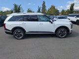 New 2026 Hyundai Palisade Limited image 4