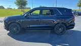 New 2025 Hyundai Palisade Calligraphy image 4