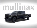 New 2025 Ford F250 Platinum image 2