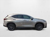 Certified 2024 Lexus NX 350h AWD w/ Premium Package image 4