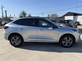 Used 2023 Ford Escape ST-Line image 6