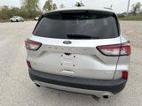 Used 2020 Ford Escape SE image 4