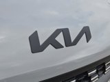 New 2026 Kia Carnival SX image 4