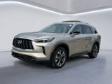 New 2025 INFINITI QX60 Luxe w/ Lighting Package (N94) image 6
