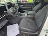 New 2025 Kia Carnival SX Prestige image 6