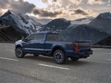 New 2025 Ford F250 Platinum w/ Tremor Off-Road Package image 4