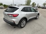 Used 2020 Ford Escape SE image 3
