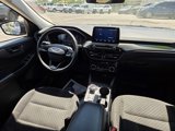Used 2024 Ford Escape Active image 5