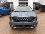 New 2025 Kia Carnival SX image 2