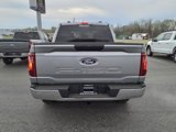 New 2025 Ford F150 XLT image 4